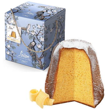 ���C�]���@�p���h�[��